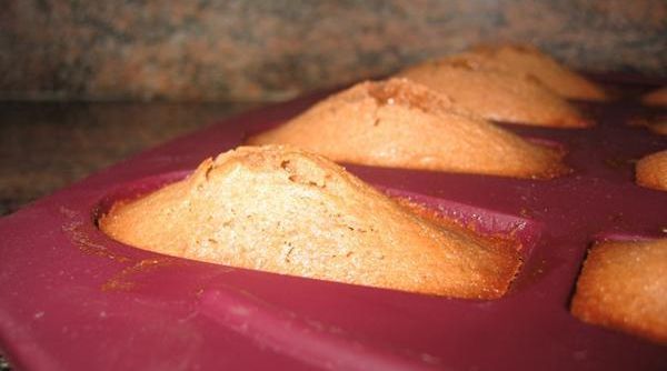 Madeleines