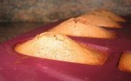 Madeleines miel et citron