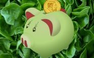 Recettes Economiques