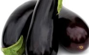 Aubergines au basilic